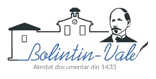Primaria Bolintin